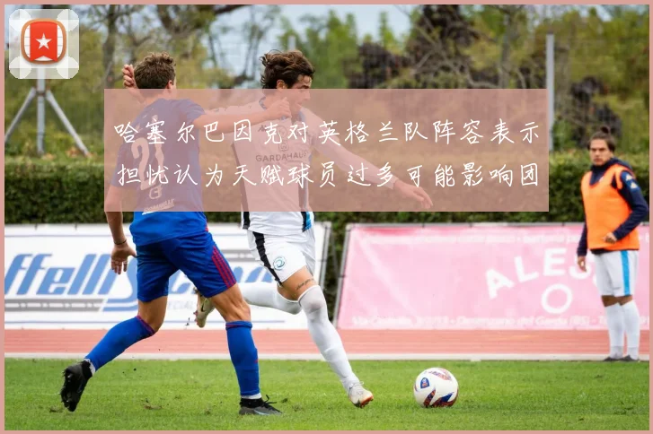 哈塞尔巴因克对英格兰队阵容表示担忧认为天赋球员过多可能影响团队合作