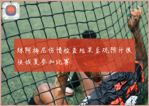 琼阿梅尼伤情检查结果乐观预计很快恢复参加比赛
