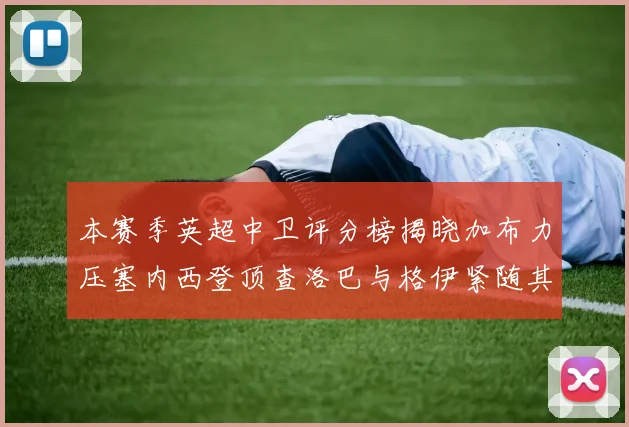 本赛季英超中卫评分榜揭晓加布力压塞内西登顶查洛巴与格伊紧随其后