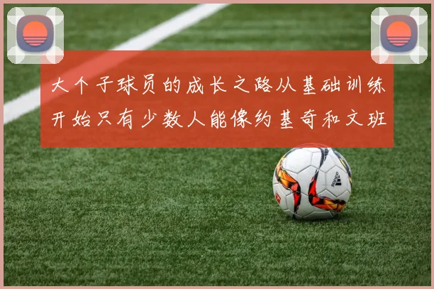 大个子球员的成长之路从基础训练开始只有少数人能像约基奇和文班那样成功