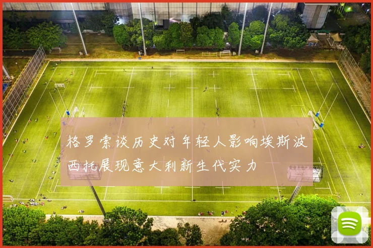 格罗索谈历史对年轻人影响埃斯波西托展现意大利新生代实力
