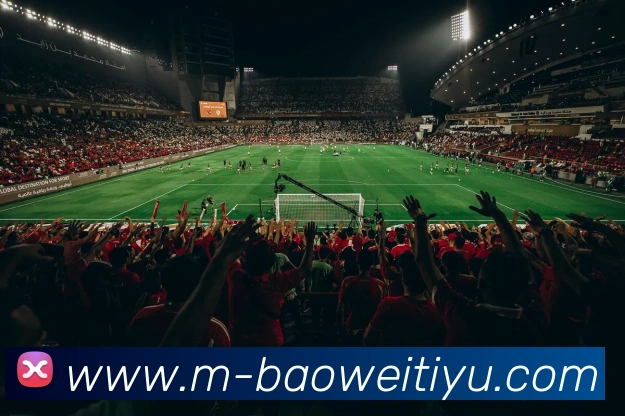 宝威体育平台生态图